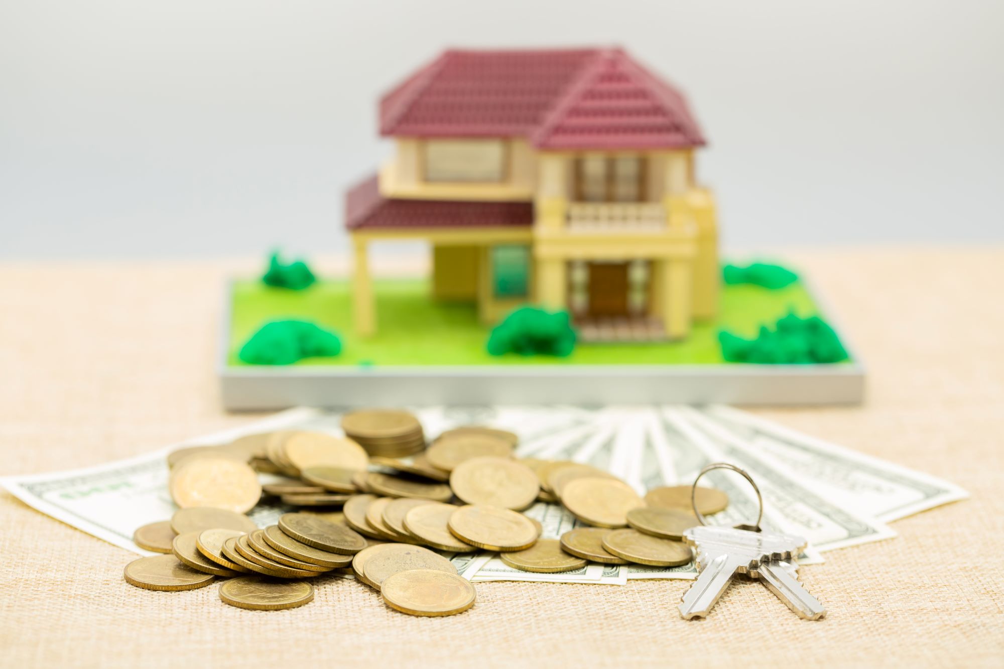 Affordable Pricing – Premium plots at prices that fit your budget