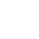 Professional Agents